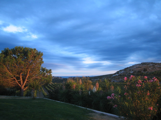 Mas du Soleilla Mas du Soleilla