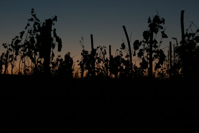 Bild Simon Baumann Bild Simon Baumann