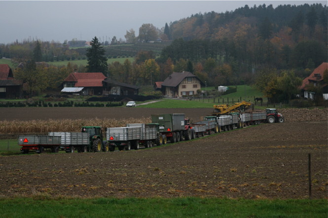 Bild Simon Baumann, subergwest Bild Simon Baumann, subergwest