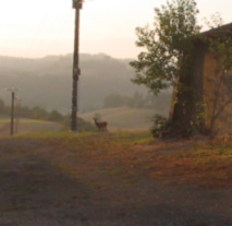 Vorsichtig... Vorsichtig...