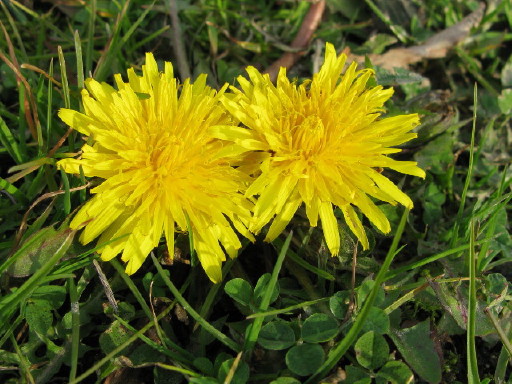 Foto Stephanie am 12. Januar 2009