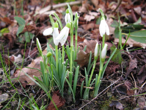 Bild Stephanie Baumann