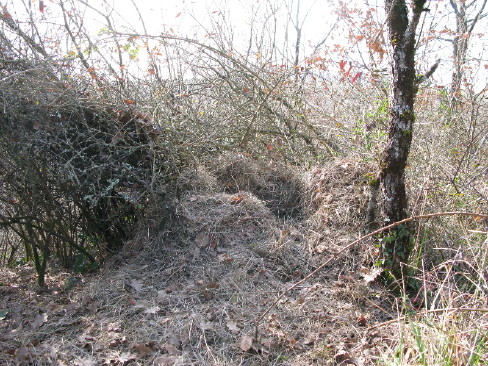 Foto Stephanie am 21. Februar 2009