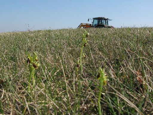 Foto Stephanie am 23.3.2009