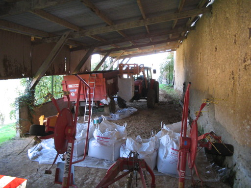 Saatweizen in Bigbags Saatweizen in Bigbags