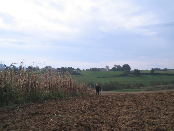 Anne Gschwend auf der Suche nach Naturobjekten für ihre Kunstwerke