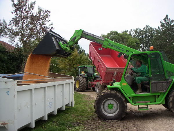 Bruno Papa fährt die Ernte ein!