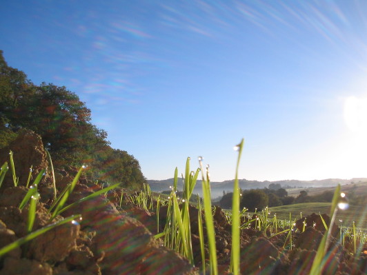 Foto RB 2.11.06, La Ouaitte