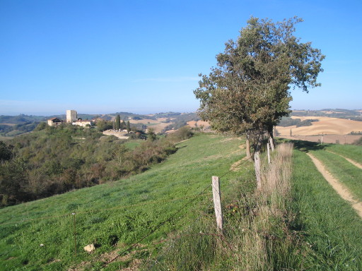 5. November 2006, 09:50 Uhr, Lagouarde, im Hintergrund La Ouaitte