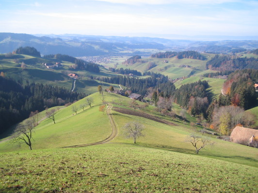 Einzelhöfe oberhalb Zollbrück