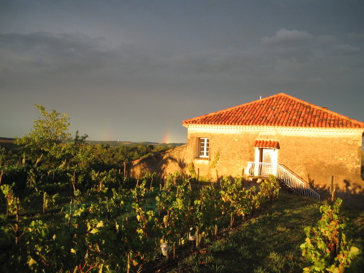 Tannat-Reben, Gewitterstimmung La Oueyte