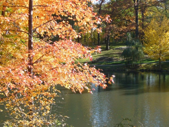Waldweiher, künstlich, central parc, NY, Aufnahme Kurt Baumann