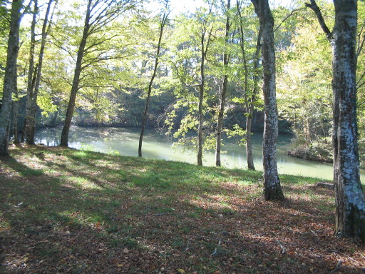 Waldweiher (natürlich) im Gers, Aufnahme Ruedi Baumann
