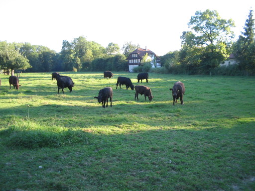 Oele in Suberg Oele in Suberg