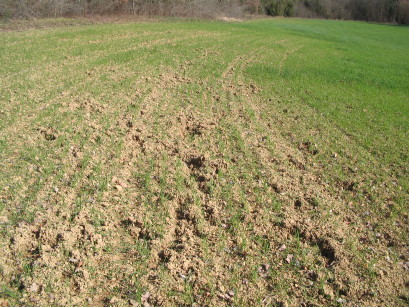 Die Spuren einer Nacht