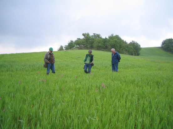 Flurbegehung mit Singeisens