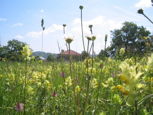 RTA (Reconversion Terre Arable) Mai 2007