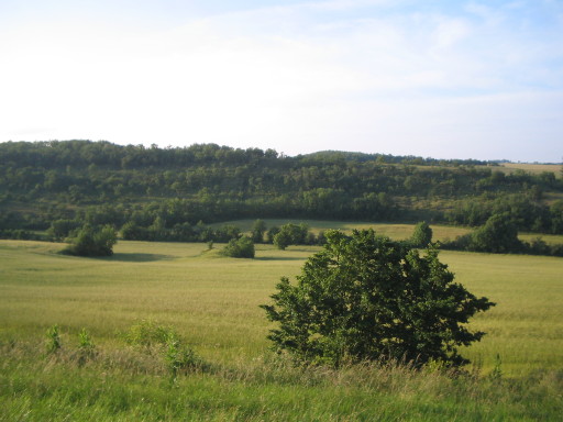 Weizenfeld, La Ouaitte, Juni 2007 Weizenfeld, La Ouaitte, Juni 2007