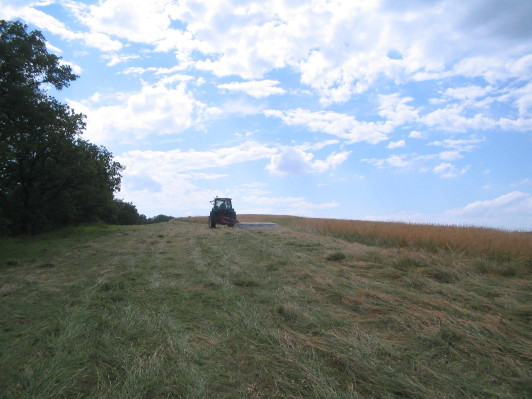 Heu mähen am 18.6.07