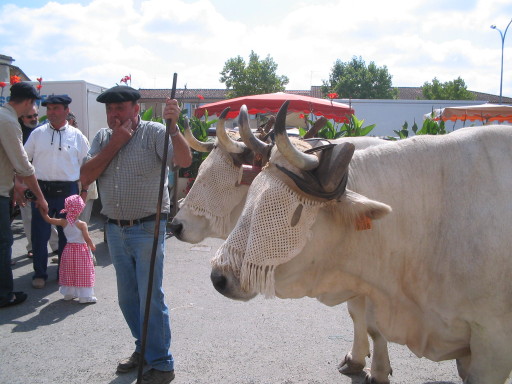 Paysan de la Gascogne