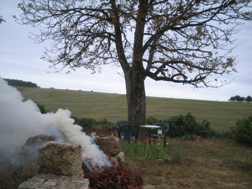 Kastanienlaubfeuer Kastanienlaubfeuer