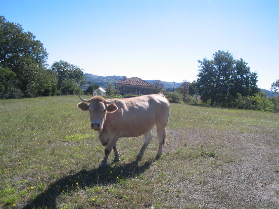 Eine schöne Blonde dAquitaine! Eine schöne Blonde dAquitaine!