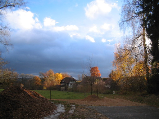 Suberg, Inselmatt, Oele Suberg, Inselmatt, Oele