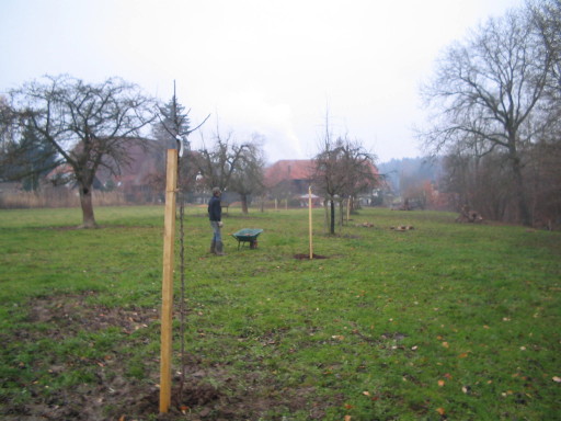 Inselmatt, Suberg Inselmatt, Suberg