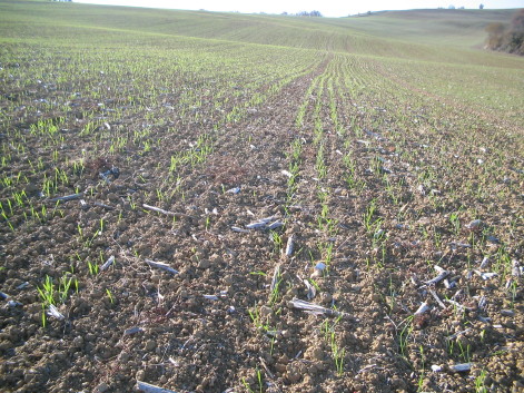 Ackerland 6000 €|ha