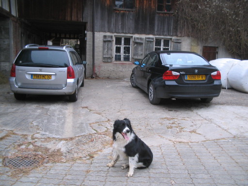 Aloha bewacht die Franzosenautos vor Berner Bauernhaus
