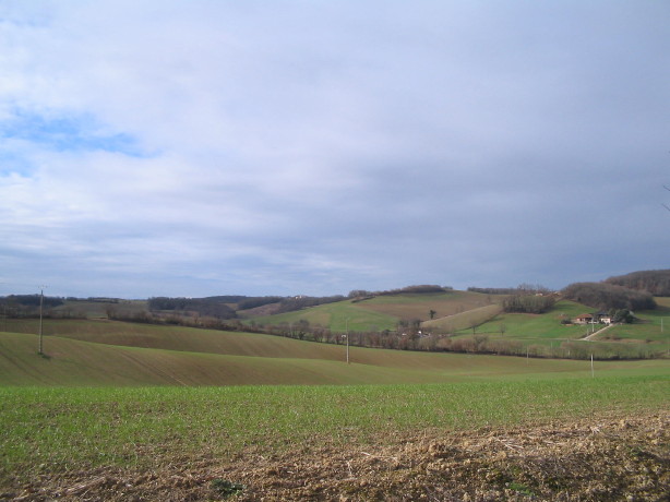 Lartigue, Ackerland, 26 ha Lartigue, Ackerland, 26 ha