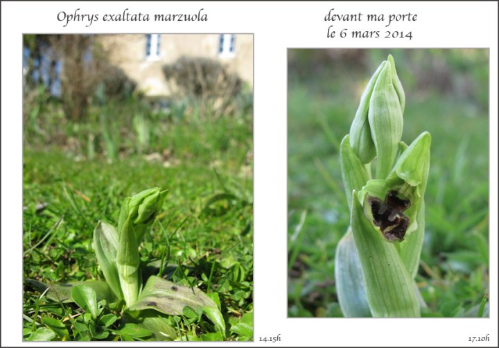 1-marzuola-devant-la-porte