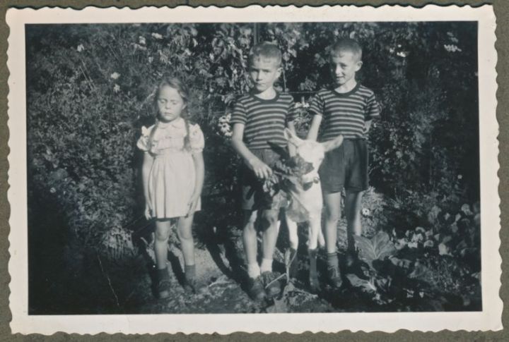 Kariertes_Album_Baumanns_Ruedi_Ziege_1