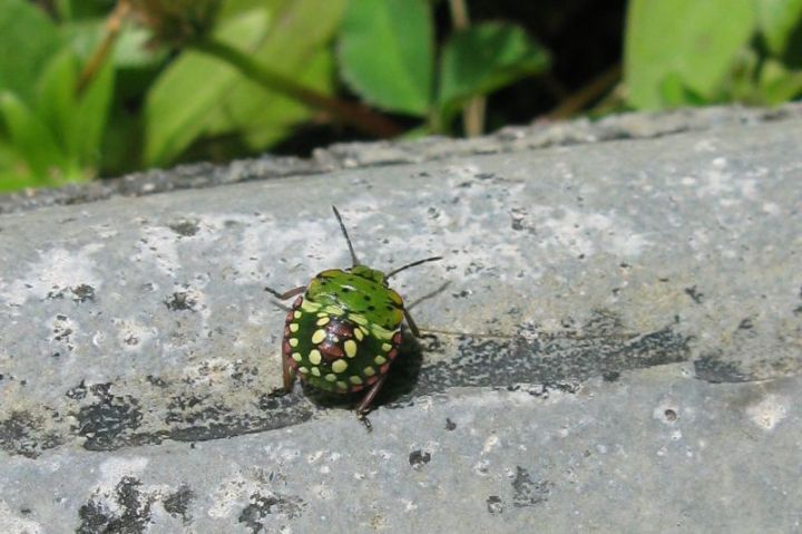 2014-07-03 um 14-52-05