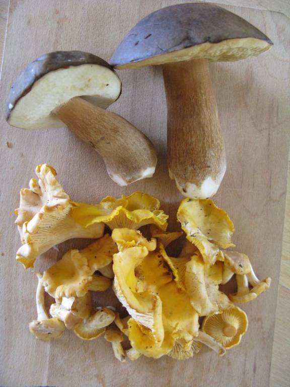 2014-07-09 um 14-47-31 (1)