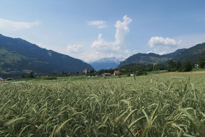 IMG_3872 Rietberg.jpg