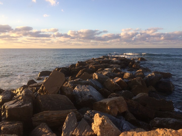 c5ba19cd-c7cc-472f-be7c-29313d0b5145